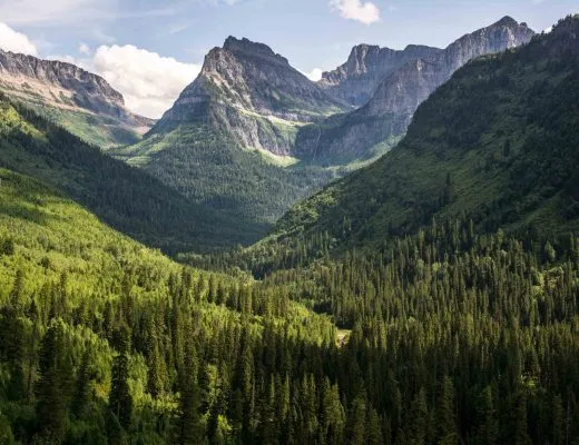Glacier National Park Views
