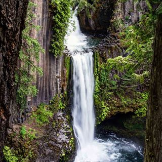 On my way to Crater Lake, I decided to make a 20 mile detour to check out Toketee Falls. I’m so glad I did. An easy, super short, but exceeding charming trail takes you to these breathtaking falls. The basalt columns.  All the lush green. Talk about an idyllic setting!
#toketee #toketeefalls #waterfalls #oregon #exploreoregon #freshairandfreedom #travelusa #nature_perfection #ourplanetdaily #roamtheplanet #landscape_capture #optoutside #neverstopexploring #theoutbound #wildernessculture #hikingculture #nature_captures #waterfall_lover #weroam #wildernessbabes #shetravels #passionpassport #getoutstayout #beautifuldestinations #pnwonderland #keepitwild