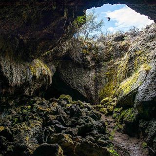 My mini road trip comes to a close. But what a last day! Spent it exploring Lava Beds National Monument. The first half of the day was above ground. The second half was popping in and out the many lava caves in the park. Some of them  were frighteningly dark. Others, were just sublime. Like this one, the Sunshine Cave. What a place!
#lavabedsnationalmonument #lavabeds #sunshinecave #cave #visitcalifornia #nationalparkgeek #nationalparks #optoutside #adventureculture #travelusa #wildernessculture #theoutbound #freshairandfreedom #nature_perfection #landscape_capture #greatoutdoors #ourplanetdaily #roamtheplanet #keepitwild #weroam #shetravels #cavephotography #exploremore #ig_california